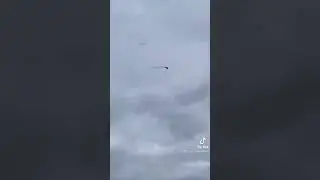 призраки  попали на камеру #shorts #respect