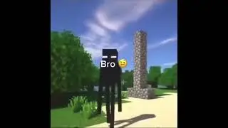 bro 