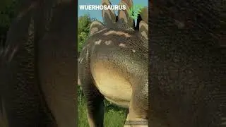 Wuerhosaure - Un jour, Un dino