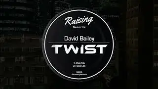 David Bailey - Twist (Original Mix)