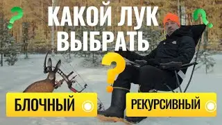 Какой лук выбрать? Блочный или рекурсивный