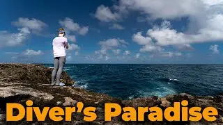 Back To Traveling - A Diver's Paradise, And Our Own