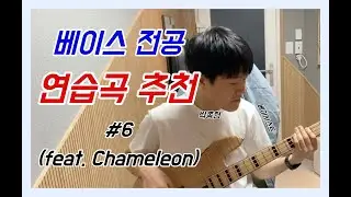 [베이스 전공] 연습곡 추천 #6 (feat. Chameleon)