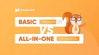 Basic Migration vs All-In-One Migration Package - Which One Suits Your Needs?