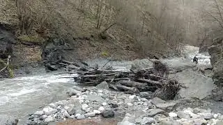 Букузи