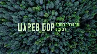 Царев Бор. Вологодская область, Вожегодский район