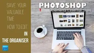 Instant Fix in the Photoshop Elements Organiser