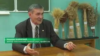 Продолжение интервью Николая Зеленского о бинарных посевах и о том, как получить хороший урожай