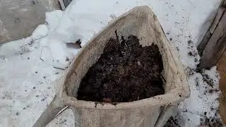 компост!