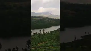 Munar #shorts #short #viral #trending #reels #travel #nature #peace #rider #trip #tour #kodaikanal