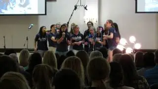 SLU Beyond All Reason at SLU Decadence Spring 2014 Concert