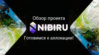 Обзор проекта Nibiru в InsiderClub. 29.11.22