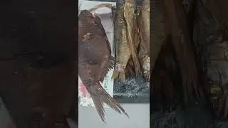 копчёная рыба на зиму