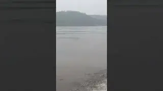 Сергей Бодров , Мечты