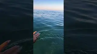 Неси волнами по течению…
