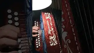 белым снегом гармонь на 27