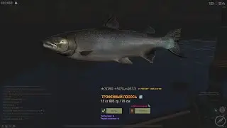 Fisher Online : Норвегия. Лосось