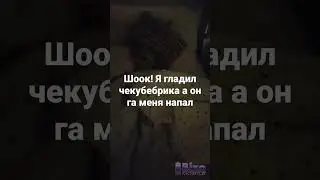 #шок