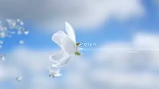 After Effects. мой логотип с цветами