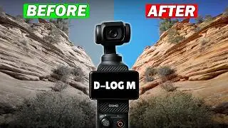 How to Grade Your DJI Osmo Pocket 3 Footage