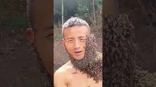 This Is The Bee Man 