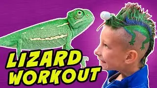 Animal Exercise For Kids | Fun Lizard Workout | Brain Break