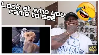 Tony Baker voice over:Reaction