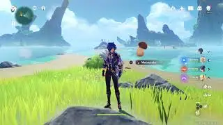 Genshin Impact Floating Matsutake