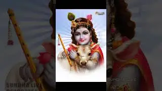 मारे टूटी झूपड़िया सांवरिया Ratan Rao ||| Mare Tuti  #shrisundhalive #ratanrao #sanwriyasethbhajan