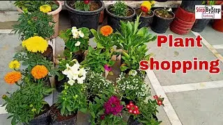 Winter plant shopping//Plant shopping