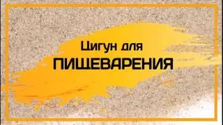 Ли Холден. Полный курс. Урок 3: Цигун для пищеварения