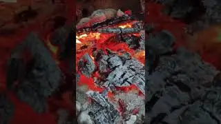 Сура Аз-Залзала Сотрясение . Mishari Rashid Alafasy
