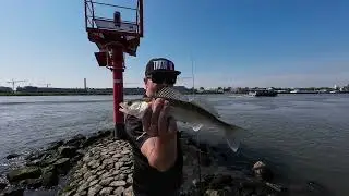 Mix az el nem készült pergető videókból( ruganypeca, streetfishing)
