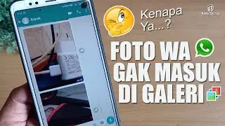Foto whatsapp tidak muncul di galeri ? Ini Solusinya !