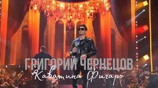 Григорий Чернецов - Каватина Фигаро