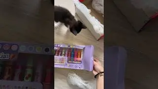 Caixinha surpresa da Newpen!
