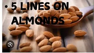 5 Lines on ALMONDS:: A short Essay on ALMONDS:: Benefits of ALMONDS