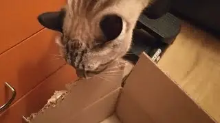 Коробочный дизайнер