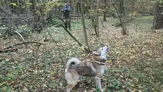 74 е по белке (2/3)