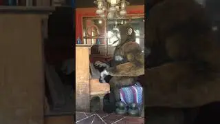 Animatronic Monkey at Wall Drug