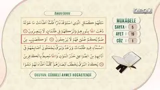 Bakara suresi 1-31  / Cübbeli ahmet hoca