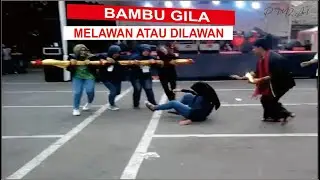 Bambu Gila Maluku ada di Bandung