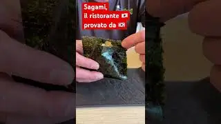 Ho provato 🇯🇵 Sagami, il ristorante giapponese a Milano | SO.OK
