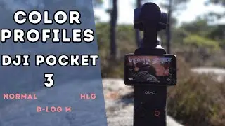 DJI Osmo Pocket 3 BEST Color Profile | Normal vs D-Log M vs HLG