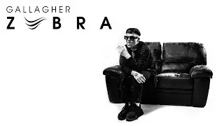 GALLAGHER - ZEBRA