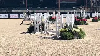 For Sale - Titan De La Vie - 1st Place 6 year old jumper