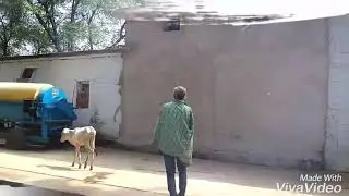 छत्तीसगढ़  का सबसे  बड़ा  बैगा