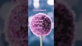 Что мне снимать?