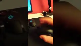BenQ Zowie EC2-B after a month WTF???