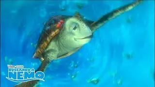 Marlin en la corriente australiana del este | Buscando a Nemo | Disney Junior Oficial